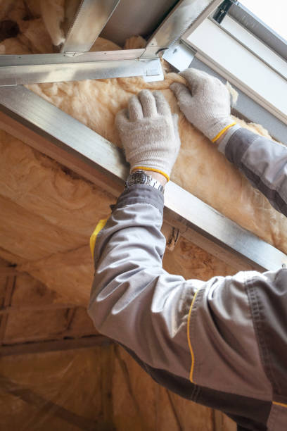 Best Insulation Maintenance and Repair in Sheldon, IL